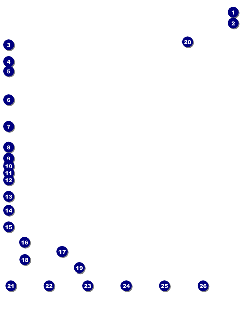 Las Vegas Lucky Logo Flyer Front Field Markers