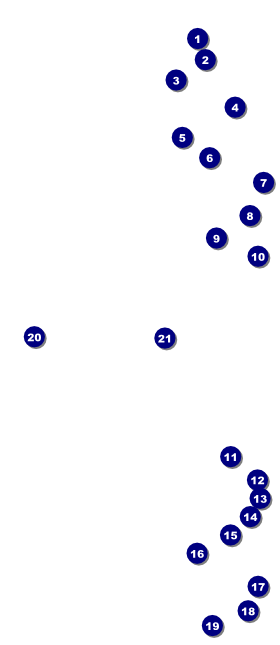 Red Carpet VIP Event Badge Large VIP Event Badge Large Front Field Markers