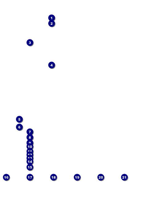 African Theme Logo Flyer Front Field Markers