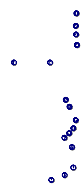 Fourth of July  Freedom VIP Event Badge Large Front Field Markers