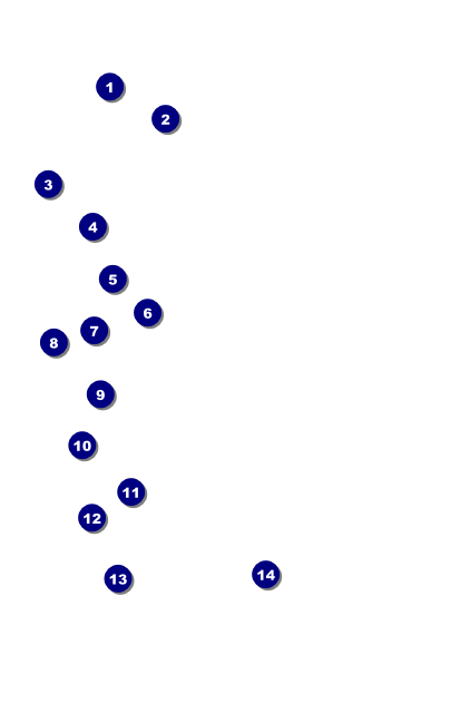 Military Ball - US Flag VIP Event Badge Medium Front Field Markers
