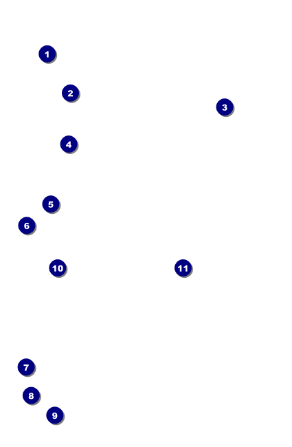 Walk VIP Event Badge Small Front Field Markers