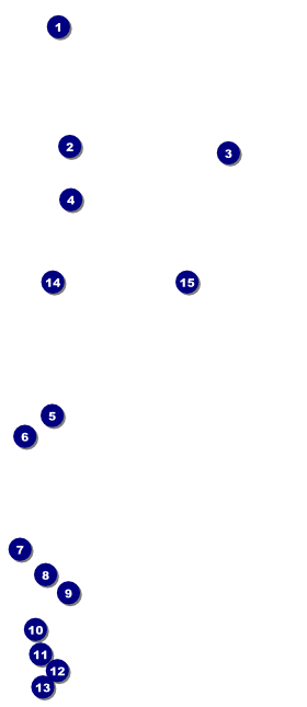 Walk VIP Event Badge Large Front Field Markers