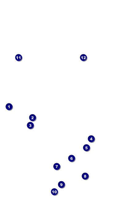Casino Night VIP Event Badge Medium Front Field Markers