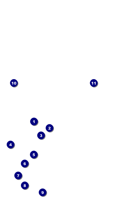 Cherry Blossom Circle VIP Event Badge Small Front Field Markers
