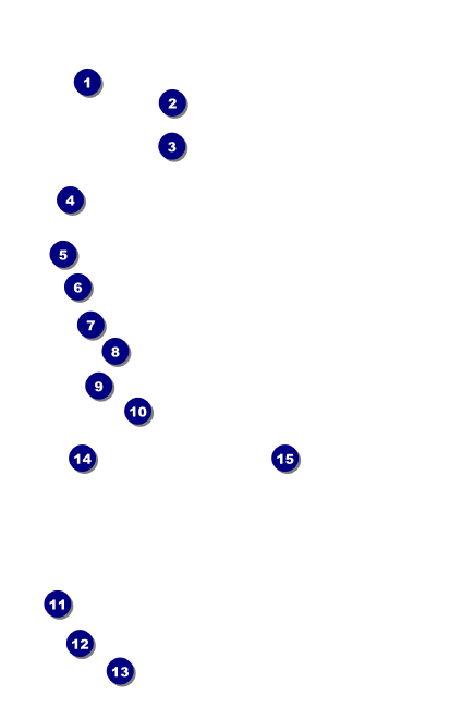 Chocolate VIP Event Badge Medium Front Field Markers