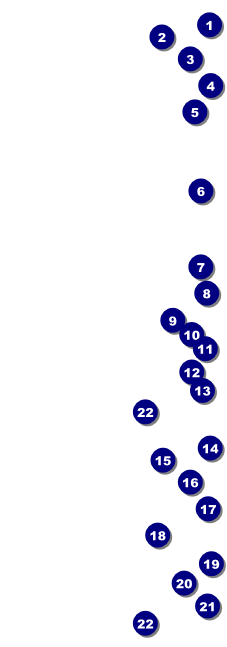 St. Patrick's Day Party Event Ticket Front Field Markers