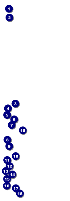 Night Club Neon Event Ticket Front Field Markers