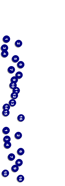 St. Louis Event Ticket (Black & white) Front Field Markers