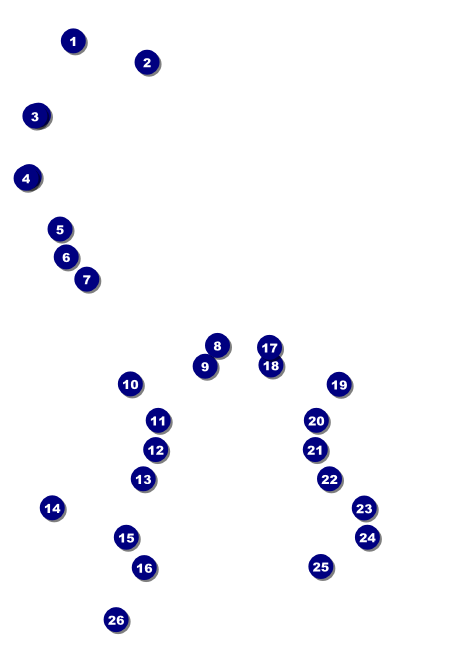 Basketball Court Invitation Front Field Markers