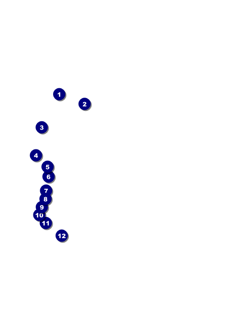 Fire and Ice Invitation Front Field Markers
