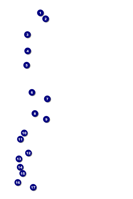 Abstract Lights Poster Front Field Markers