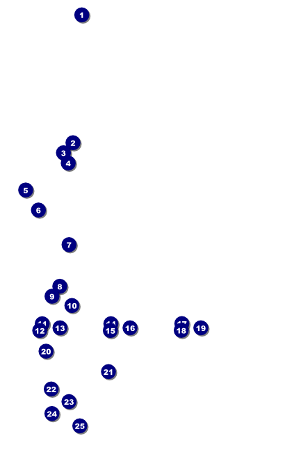 Cash Raffle Green Poster Front Field Markers