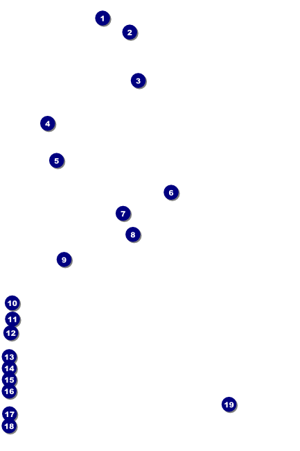 Soccer Field Poster Front Field Markers