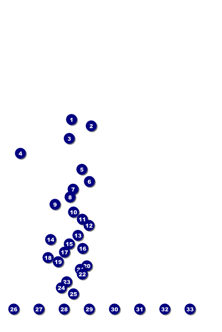 Rugby Poster with Image Upload Front Field Markers