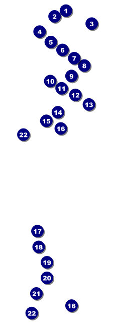 Nevada Raffle Ticket Front Field Markers