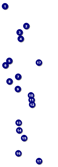 Golf Water Hazard Raffle Ticket Front Field Markers