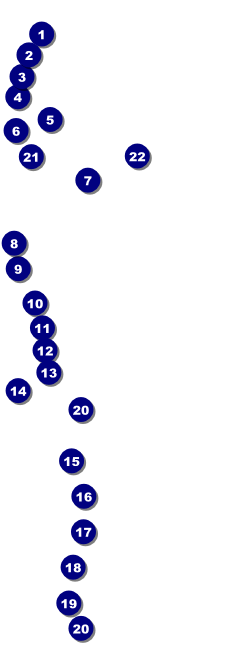 Versus Orange Raffle Ticket Front Field Markers