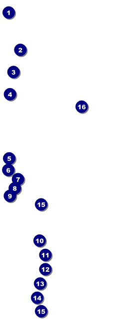Prom Limo Raffle Ticket Front Field Markers