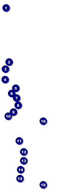 Three-Prize Cash Draw Raffle Ticket Front Field Markers