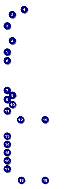 African Theme Raffle Ticket Front Field Markers