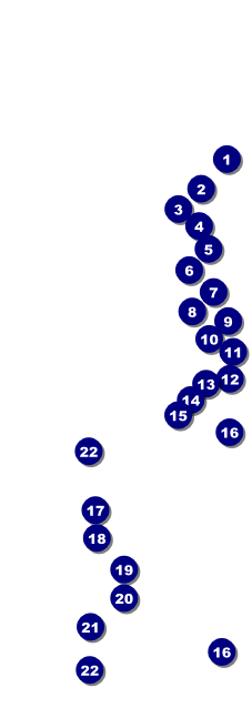Graduation Diploma Raffle Ticket Front Field Markers