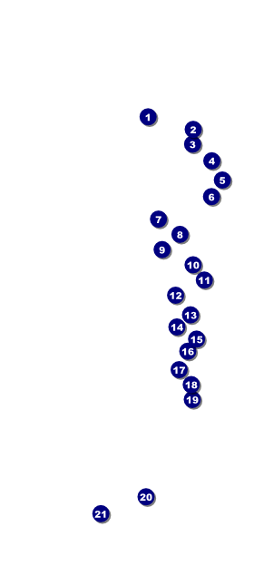 Virginia VIP Pass Front Field Markers