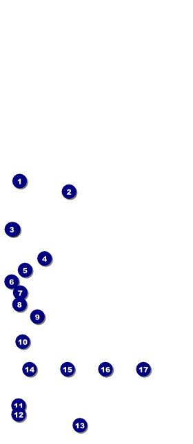 Golden Ornament VIP Pass Front Field Markers