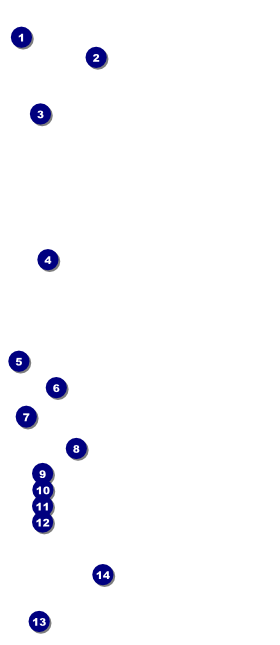 Birthday Party Green VIP Pass Front Field Markers