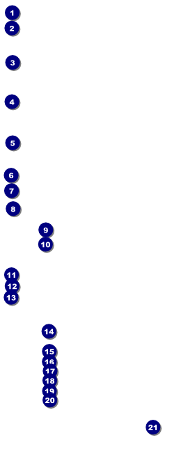 World Food Festival VIP Pass Front Field Markers