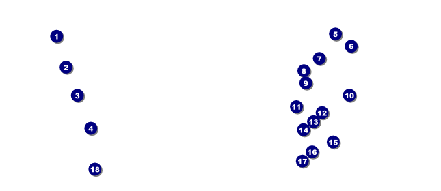 Basketball Dunk VIP Pass Front Field Markers