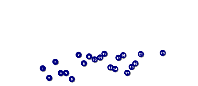 St. Louis VIP Pass Front Field Markers