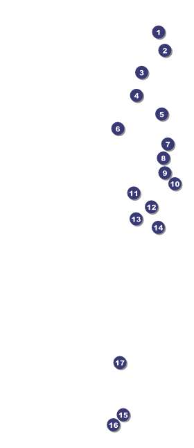 Stock Car Racing VIP Pass Front Field Markers