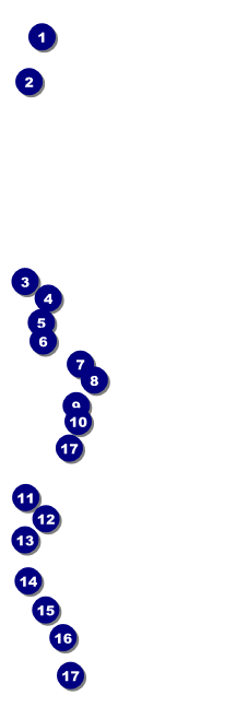 Curling Event Ticket Front Field Markers