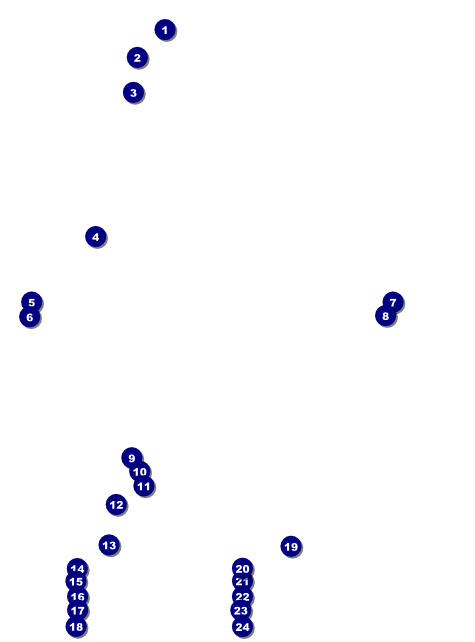 Carnival Monkey Flyer Front Field Markers