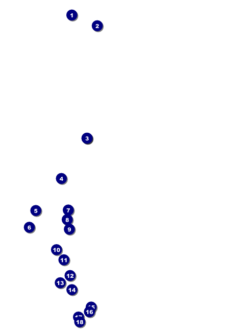 Lacrosse Flyer Front Field Markers