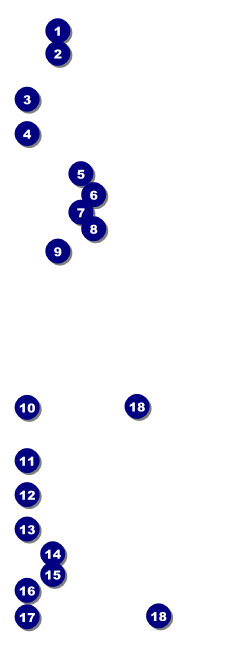 Martial Arts Event Ticket Front Field Markers