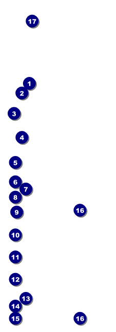 Happy Birthday Chevron Pink Event Ticket Front Field Markers