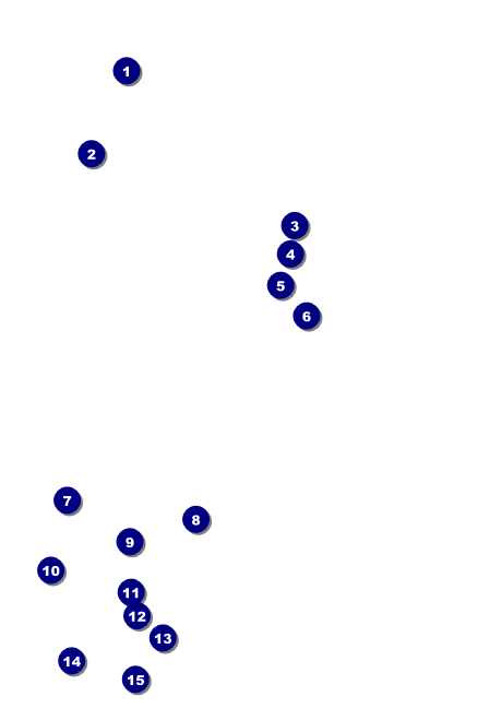 Equestrian Postcard Front Field Markers