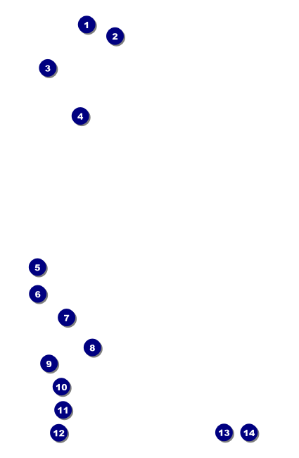 Magic Show Drink Ticket Front Field Markers