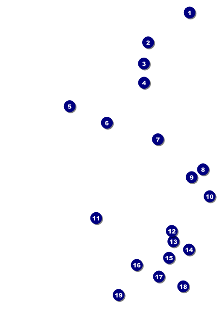 Champagne Lights Club Flyer Front Field Markers