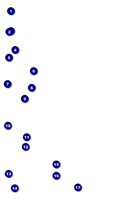 Roller Derby Passing Star Drink Ticket Front Field Markers